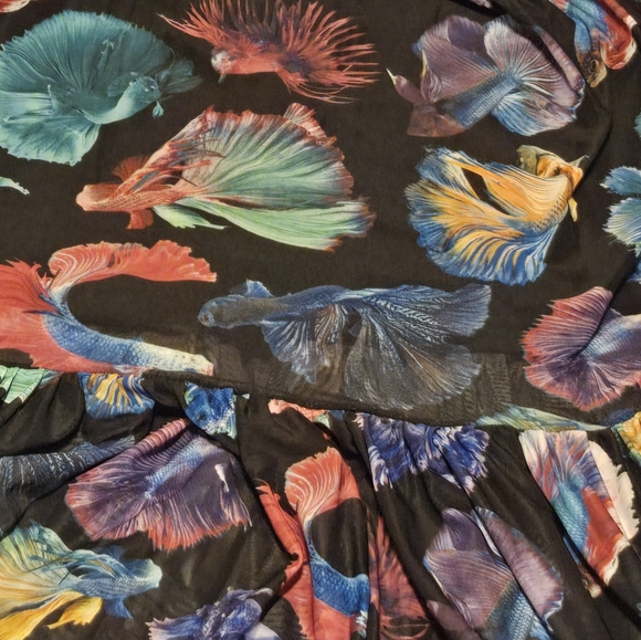 Black Milk Midaxi - Betta fish - Picture 4 of 5